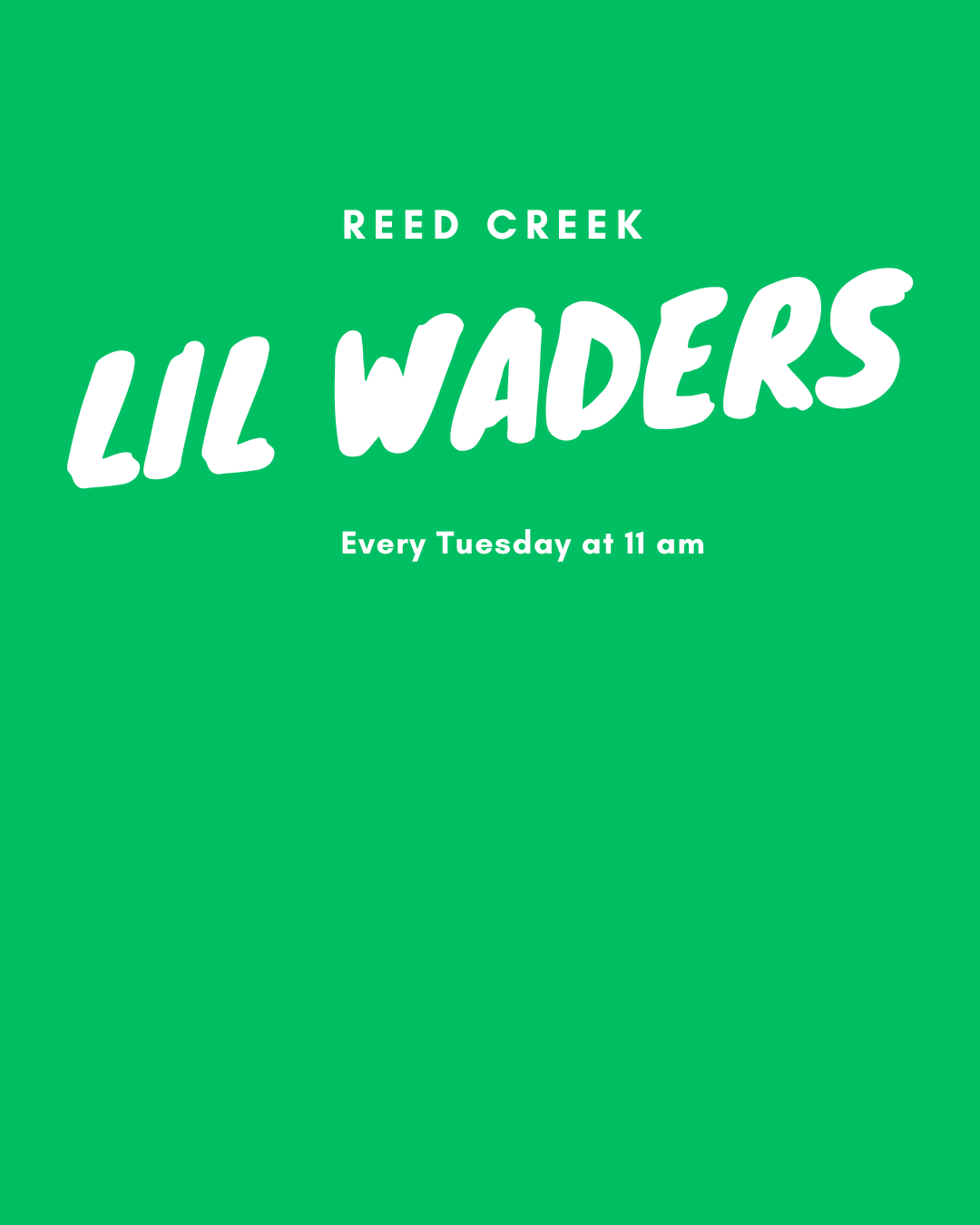 Lil Waders Logo 